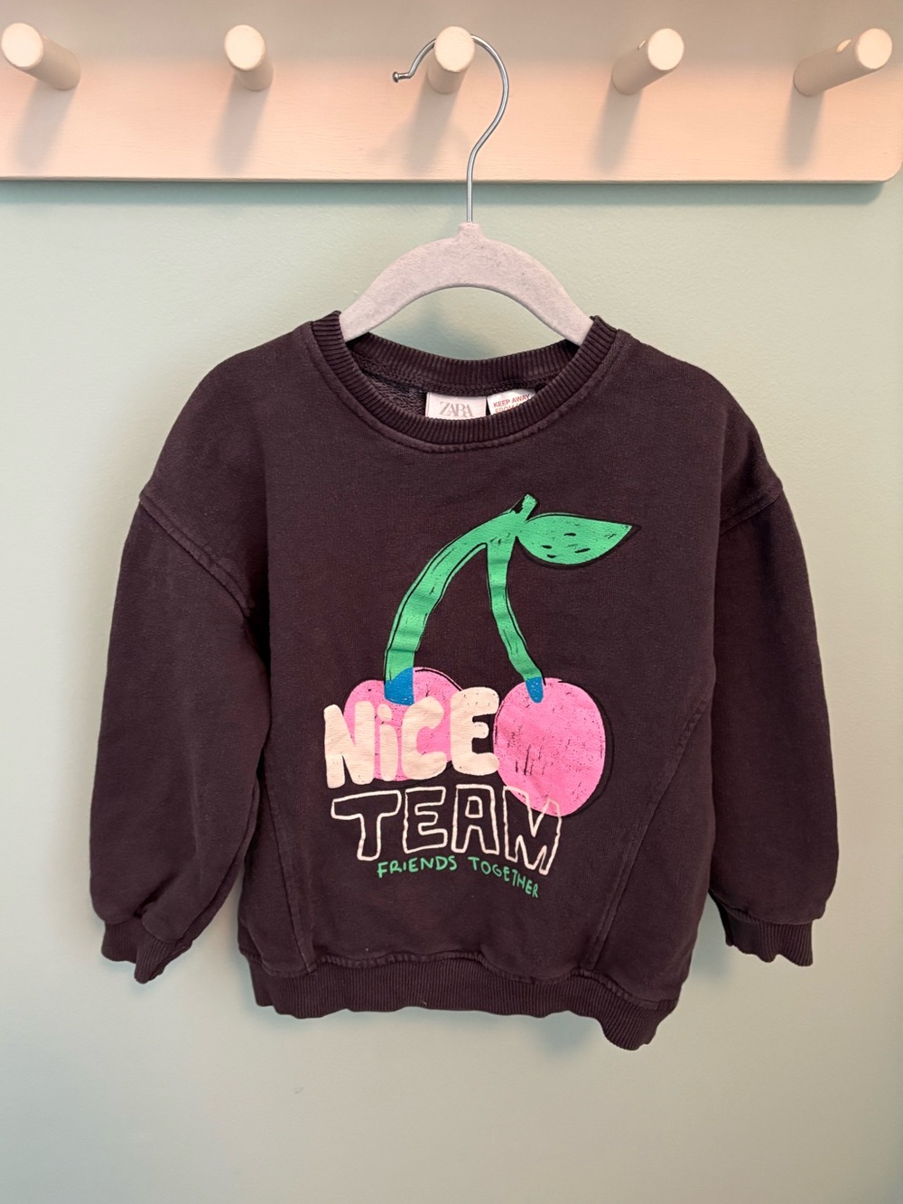 Zara Sweatshirt with Pink Cherry Graphic